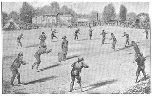 2014-01-05-eccentric-cricket-1